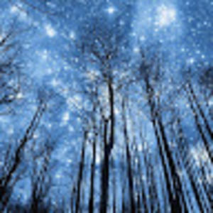 Meet your Posher, Simone